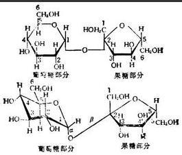 大部分双糖也是还原糖,蔗糖例外.