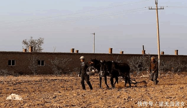 明年国家要统一收回农村土地了 农民呢 农村土