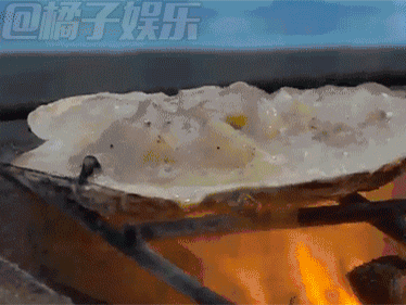 满满的扇贝啊qvq