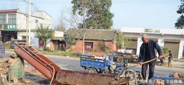 河南农民做红薯淀粉, 五斤红薯出一斤粉, 做成的