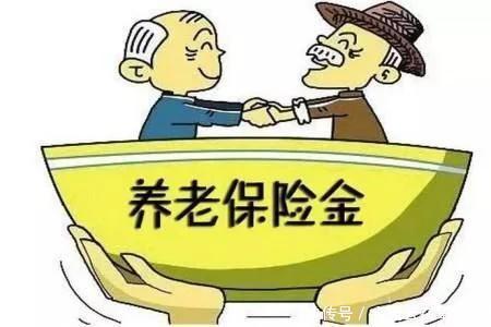 如何查询自己的个人养老金相关信息？