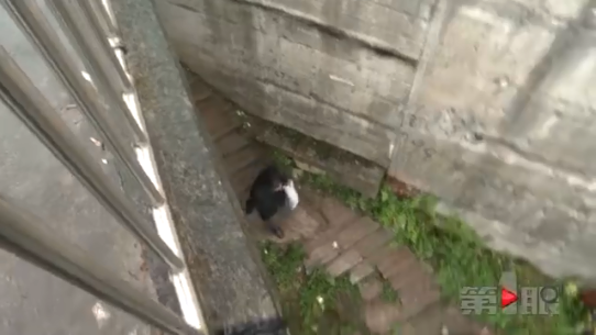 \"天桥\"建成无法行走? 原是高压线缆跨河隧道