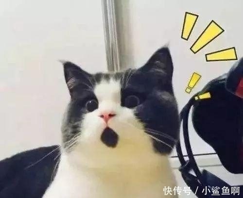 被中介忽悠弄了会分期