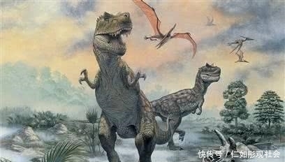 t0136cbb59b06a205ca.jpg?size=408x232