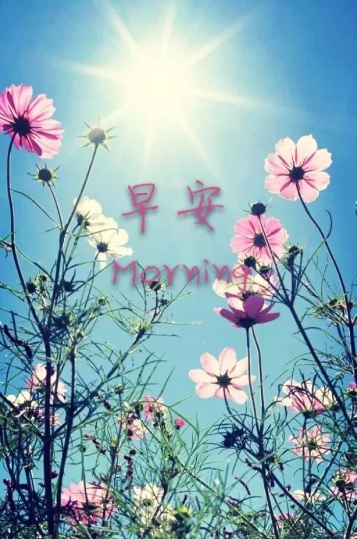 星期六最棒最赞的早上好v表情语表情表情图片精来点的刺激动态包图片图片