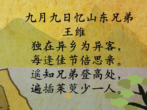 九月九日忆山东兄弟