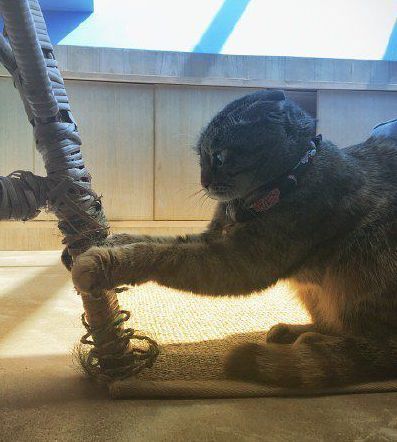 刷手被逮到的后果