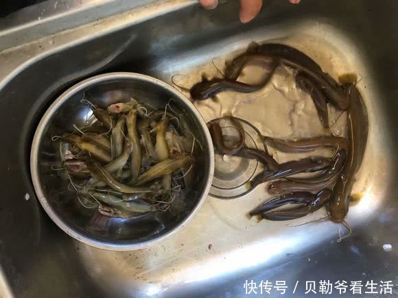 广西山中深潭,野鱼无数,竹竿就能钓两盆