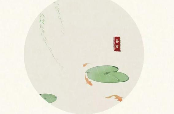 今日谷雨:杨花落尽子规啼,要和春天说再见了