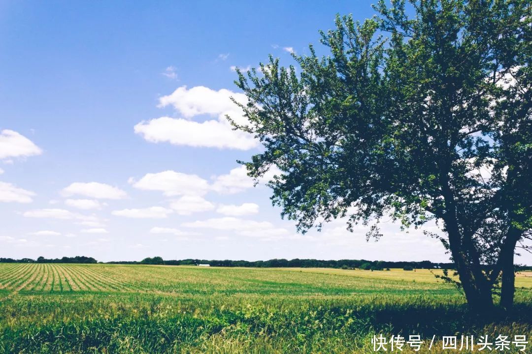 发改舆情之这样的乡村振兴,你敢说不期待?