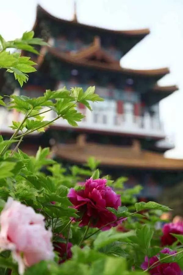 清明小长假,我想去这9个绝美的地方踏青!