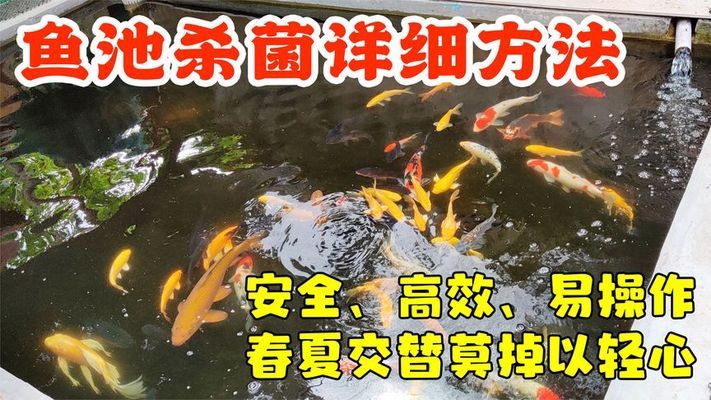 杭州哪里有賣魚缸（杭州哪里有賣魚缸的地方） 其他品牌魚缸