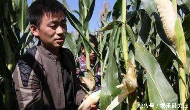 从农村走出来的明星,赵丽颖王宝强受人尊敬,而