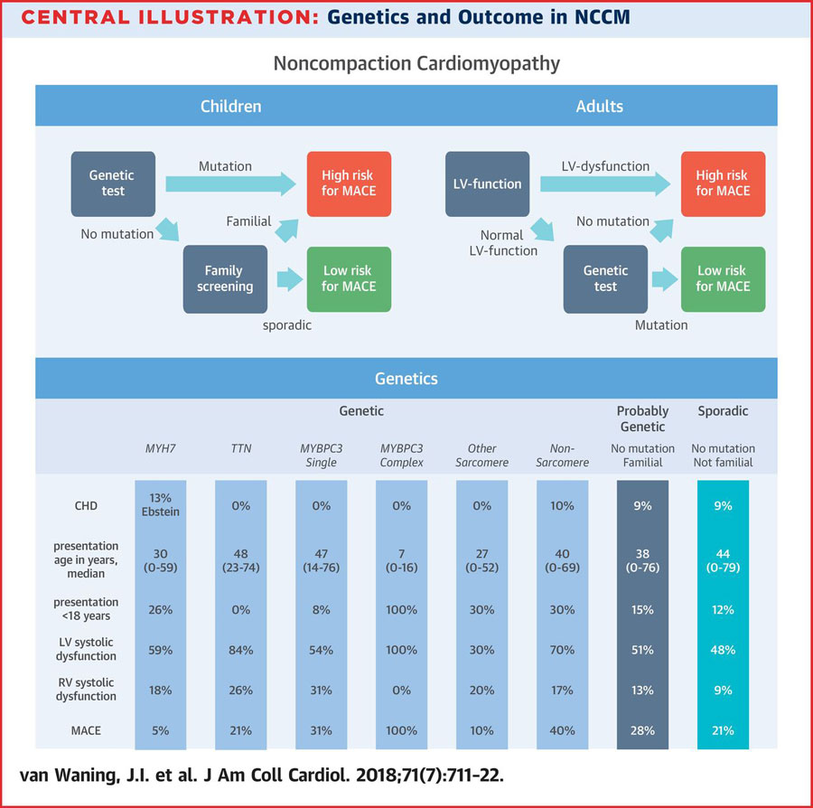 心肌致密化不全的遗传学、临床表现和长期结局