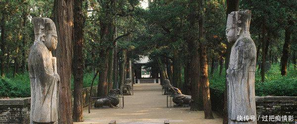 为何山东曲阜孔林上不落乌鸦,下不招蛇说出来