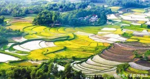 厉害了，河南这5个县市区被教育部点名，未来发展要逆天！