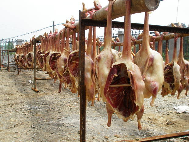 鹅肉的制作方法_360问答