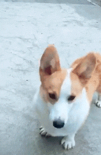 超级搞笑,谁看谁笑到合不拢嘴的二十七张图(211943)