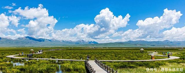 脑筋急转弯女子出轨,打一水果名这个答案让我