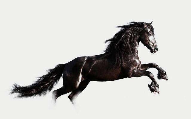 6月属马人运势分析,说的太准了!