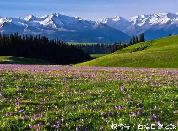 巩乃斯大草原,天山深处的“伊甸园”,一年四季都美得惊人!