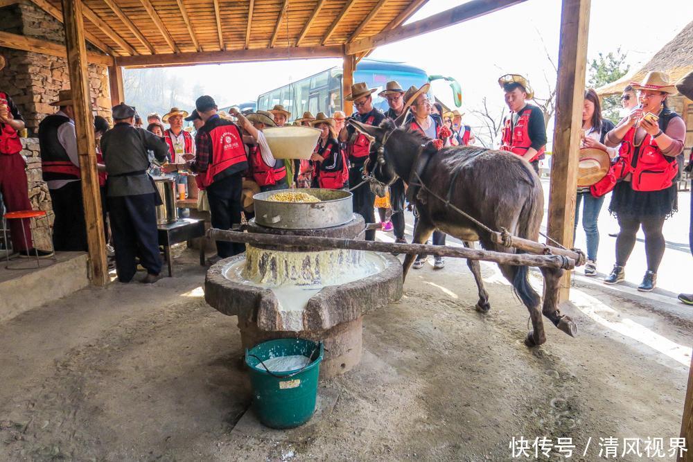 河南南阳 方城七峰山景区驴拉磨豆浆引游人品尝