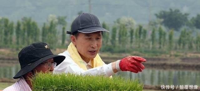 中国水稻有着不可替代的重要性不是价格可以衡