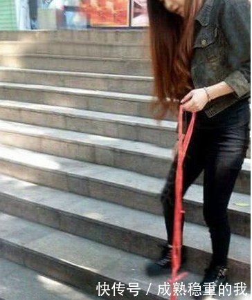搞笑图片a情趣情趣笑话乌龟你好有女人啊,妹子自制段子两个情趣用品图片