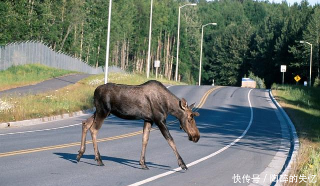 全球最人性化国家200年没有战争,80%国民拒绝