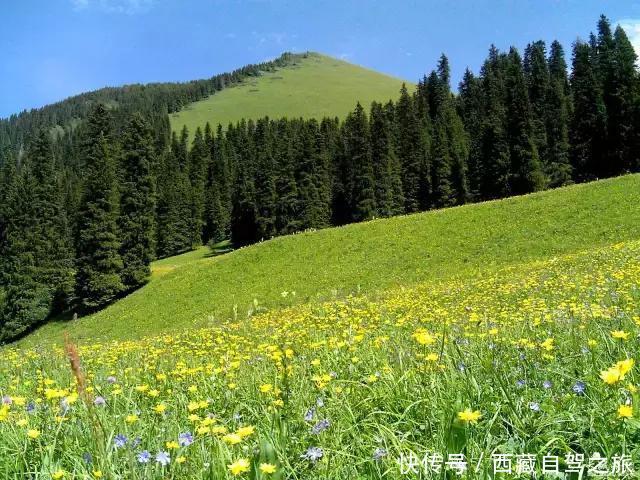 巩乃斯大草原,天山深处的“伊甸园”,一年四季都美得惊人!