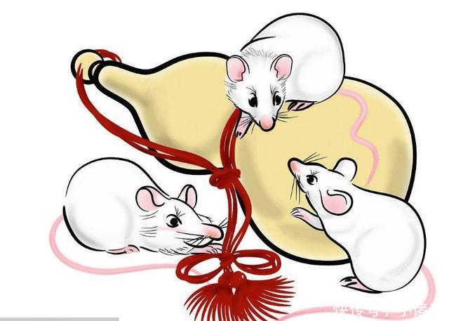 2018年3月迎接人生,幸福黎明生肖鼠,财运大红大紫进家门