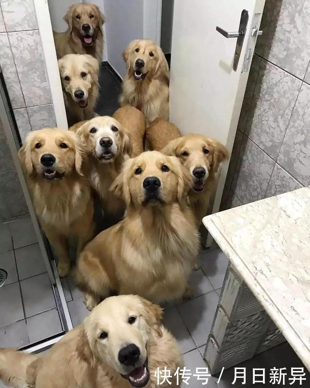 疗养院是干什么的