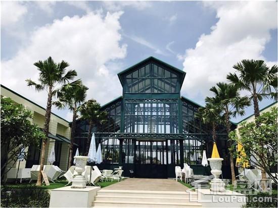 国内房产市场现状,释放了海外置业投资的信号