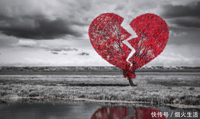 女儿结婚,女婿给我五十万,我砸了婚礼