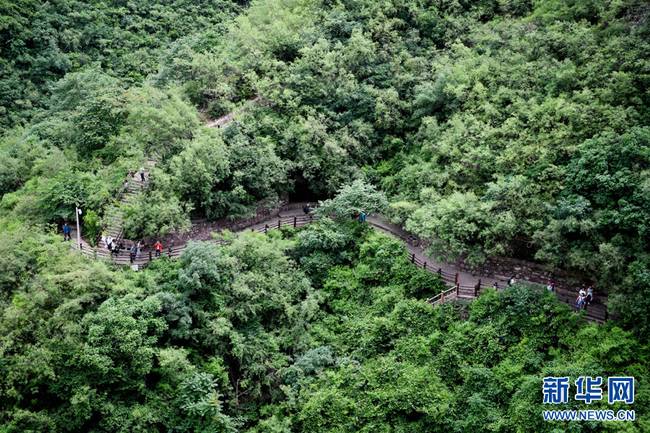 云台山:绿水丹峡入画来