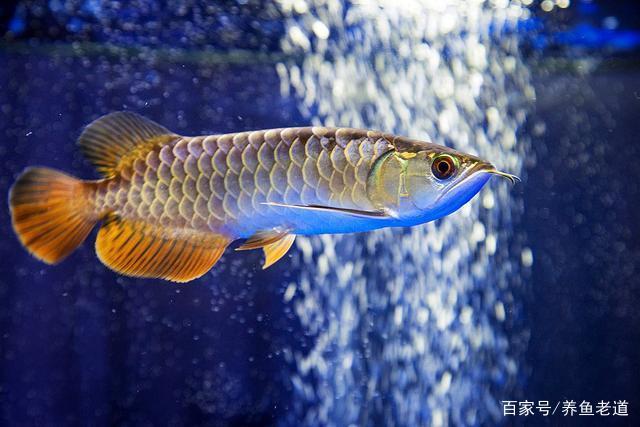 海城市海州区流涛水族馆