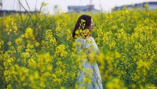 宜春女摄影师以油菜花为背景拍摄的婚纱照 你觉得怎么