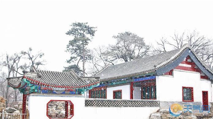 河北承德突降大雪 天地间白茫茫一片