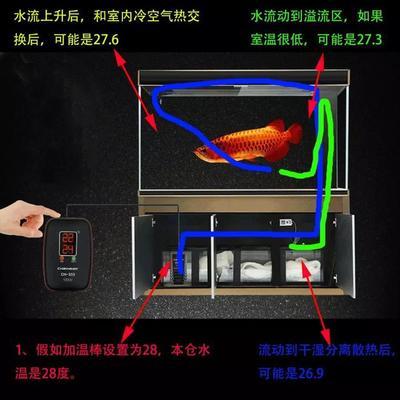 泰州鱼缸售后维护电话