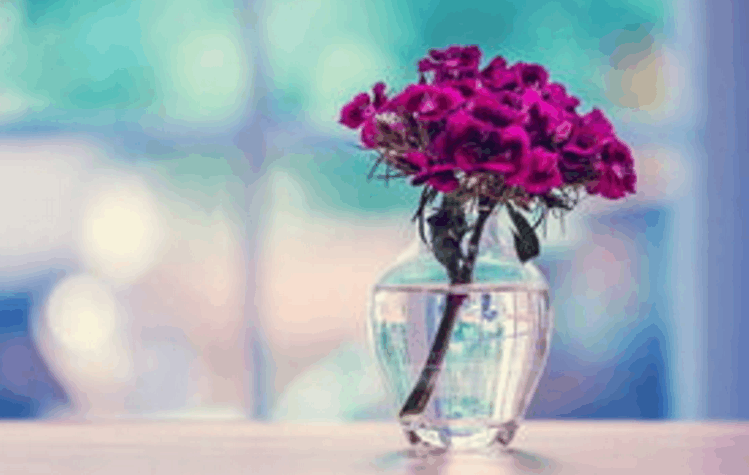 我不懂你所要的幸福