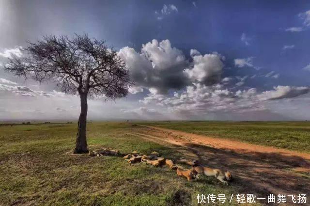 中国帮助非洲这个国家修建了高铁,如今变成什