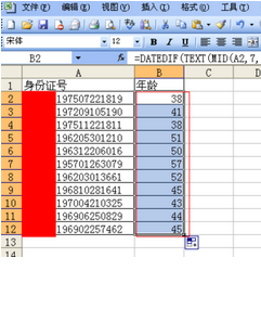 六普各年龄段人口数据贴吧_大数据图片