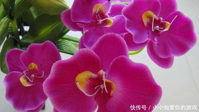 t014d8a719bf63b8c7a.jpg