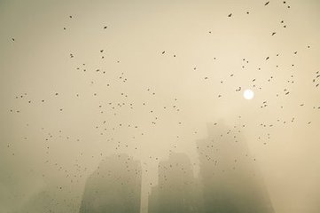 雾霾防护常识1.jpg