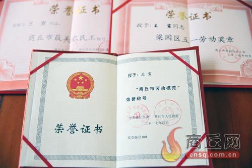 王宣获得的荣誉证书