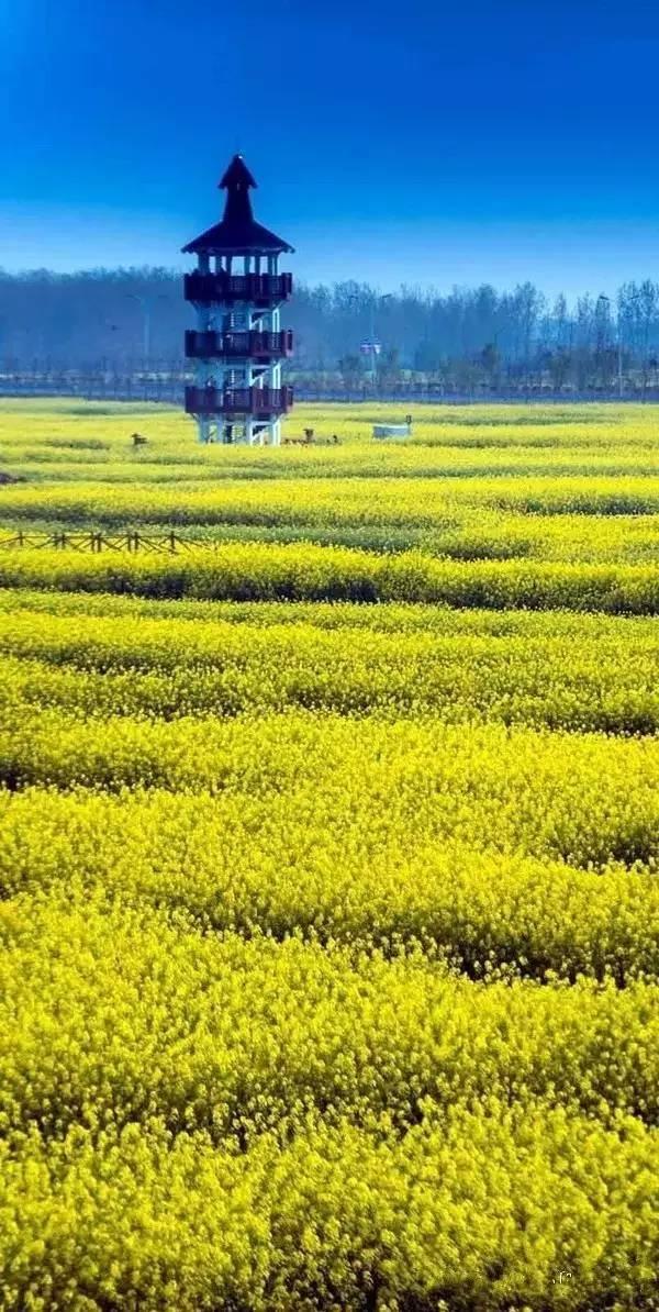 清明小长假,我想去这9个绝美的地方踏青!