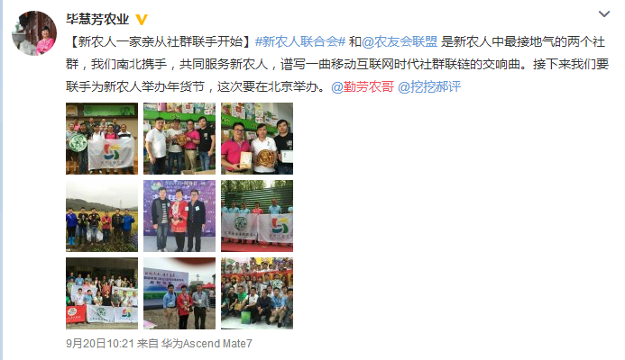 新农人大V们平日里自媒体都发布些什么内容?