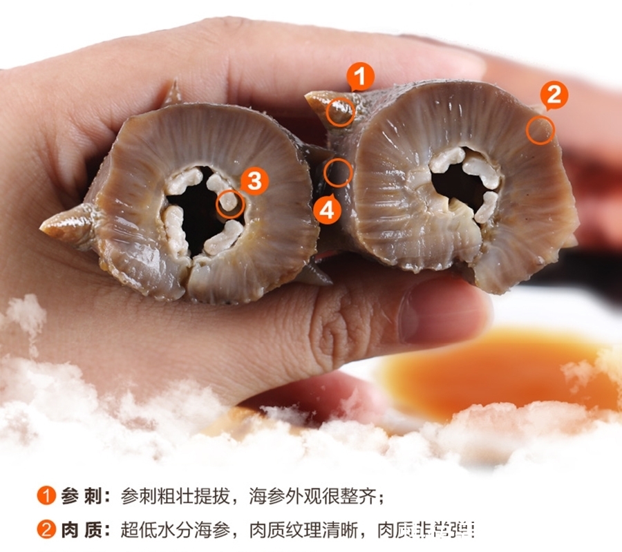 带你走进海蜇的特征外形厨王v海蜇海参炼盐图片