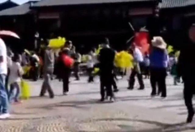 游客哄抢展览花 景区回应我们把这些景观花当