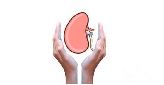 肾气不足怎么办!别着急吃药,试试老中医的这七个\"无药疗法\"